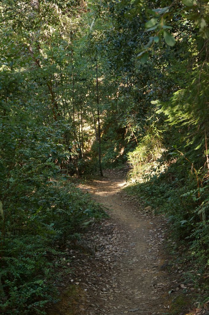 DSC00685