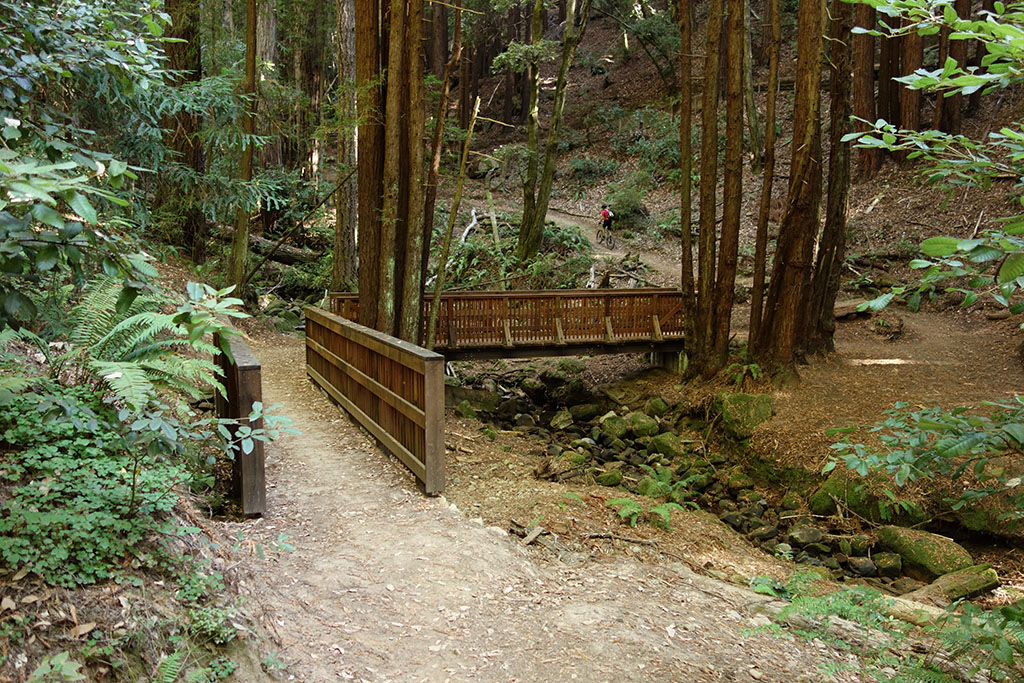 DSC00691