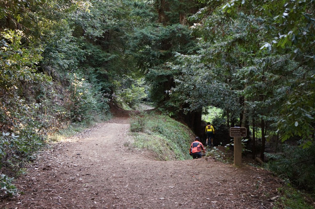 DSC00709