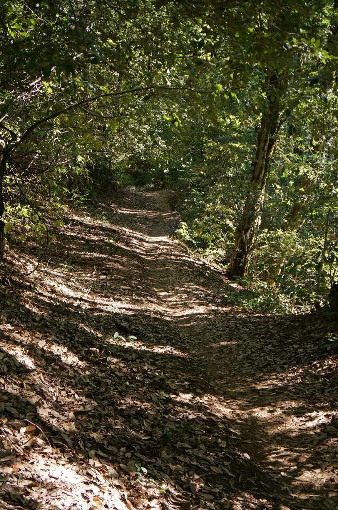 DSC00742