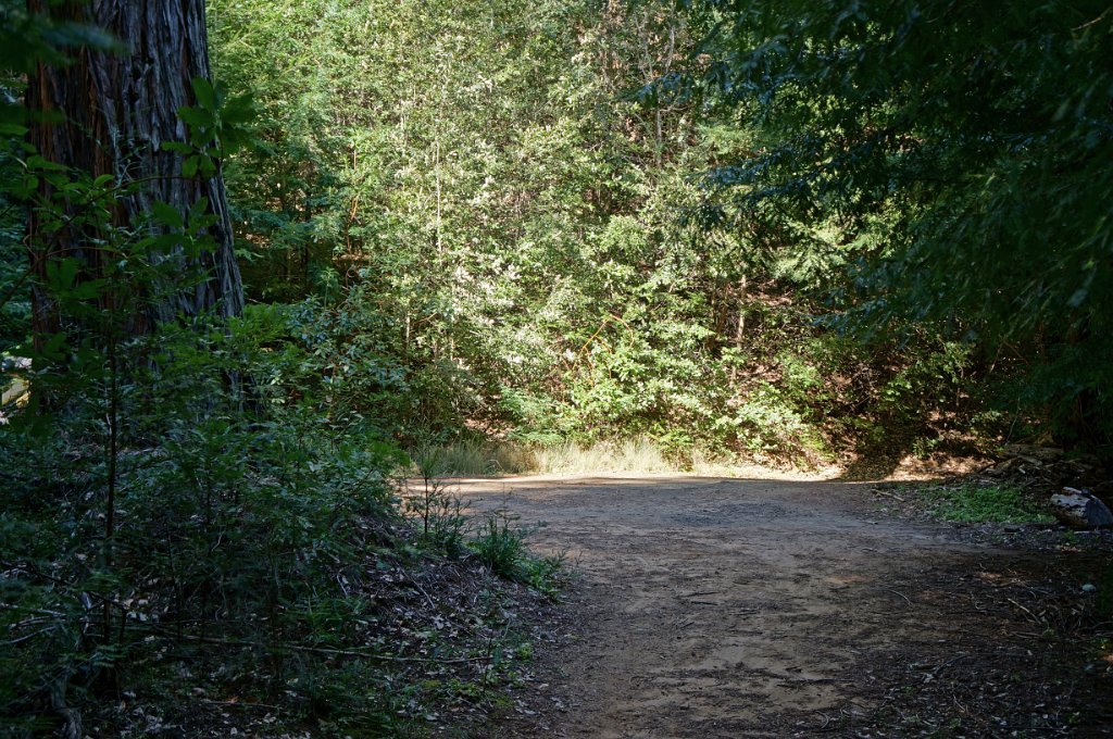 DSC00748