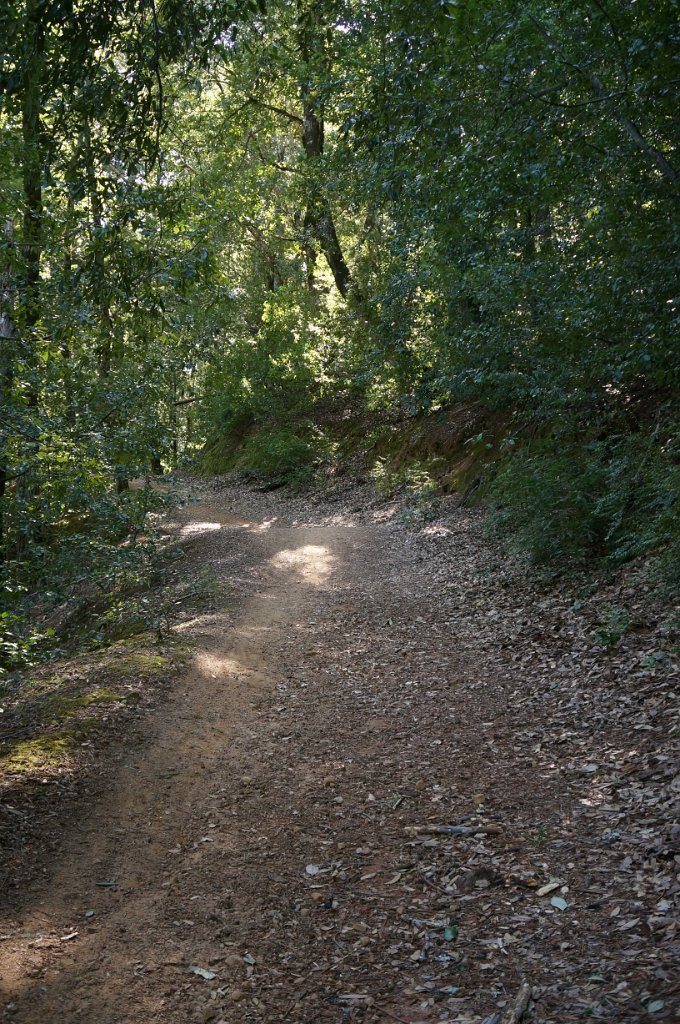 DSC00750
