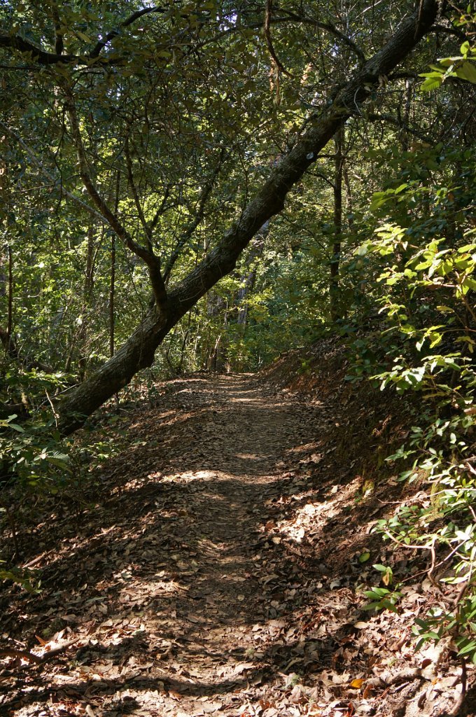 DSC00756