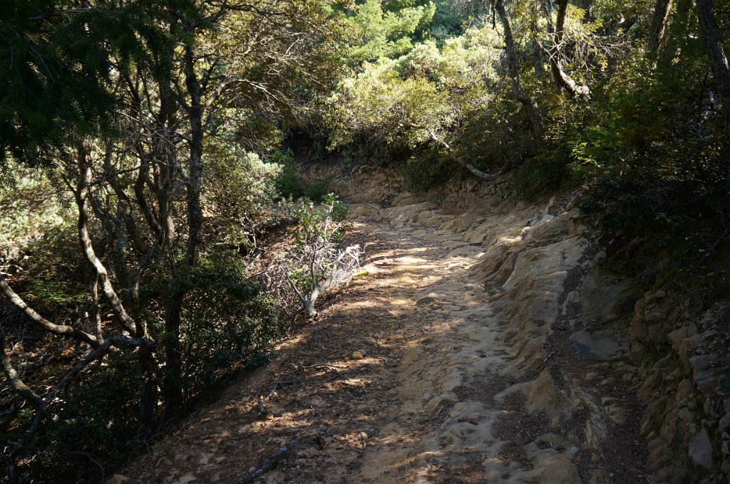 DSC00765