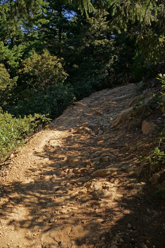 DSC00767