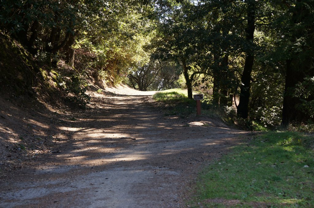 DSC00796