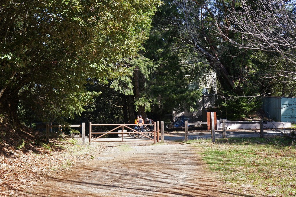 DSC00798