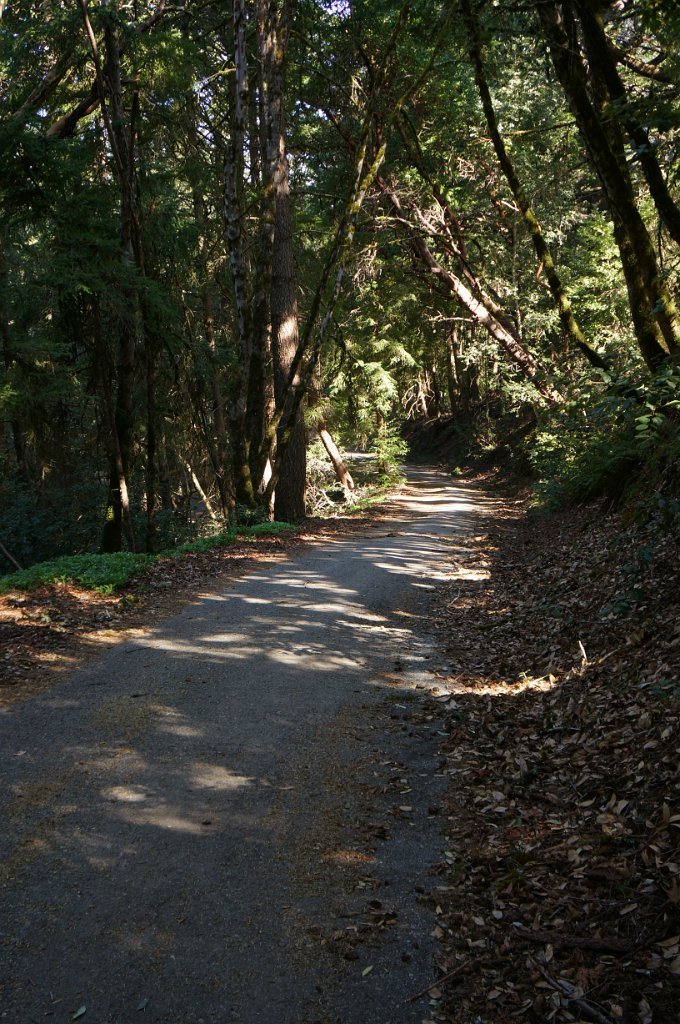 DSC00800