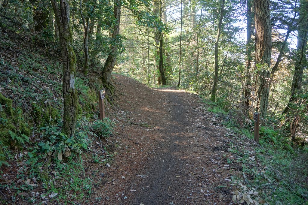 DSC09290