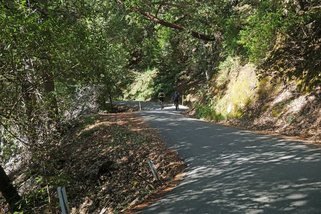 DSC09300