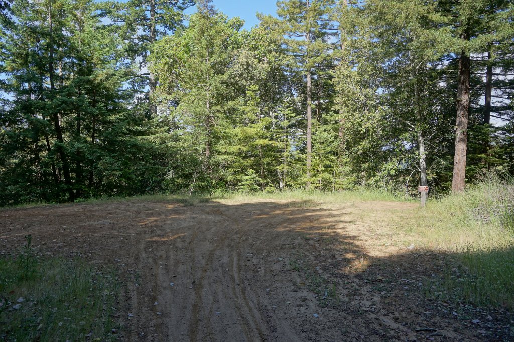 DSC09316