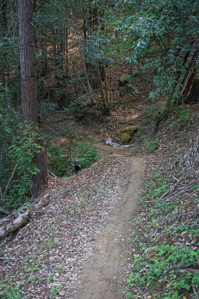 DSC09319