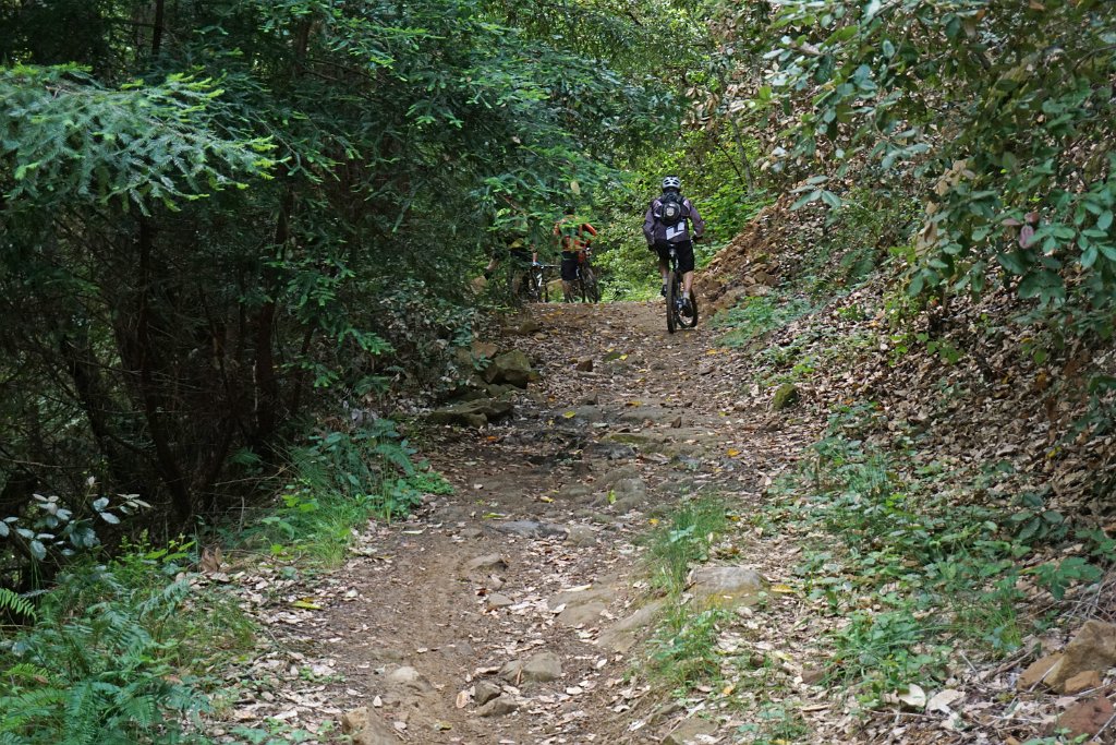 DSC09354
