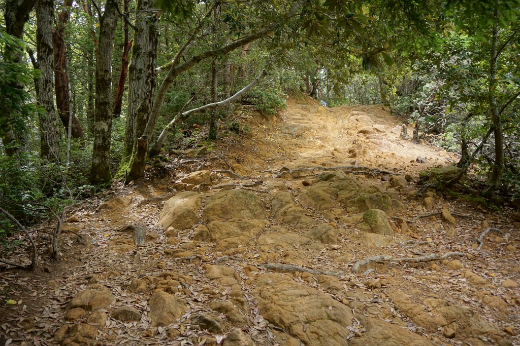 DSC09386