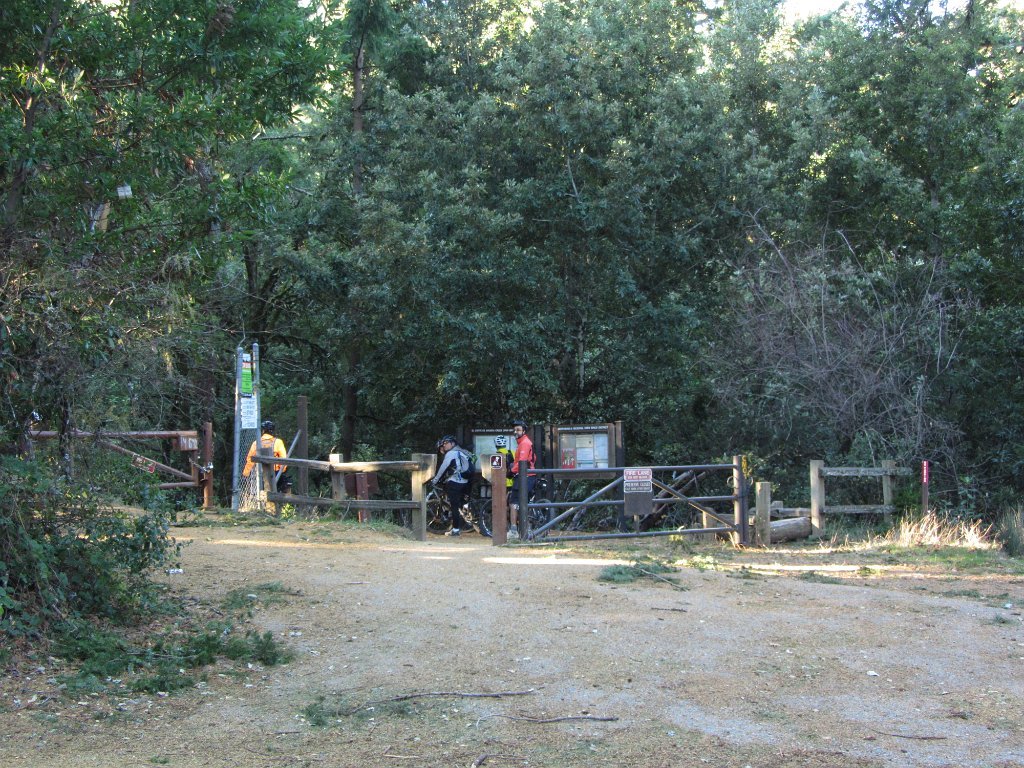IMGa_2950