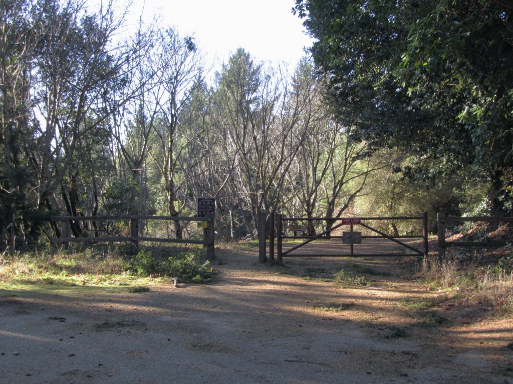 IMGa_2954