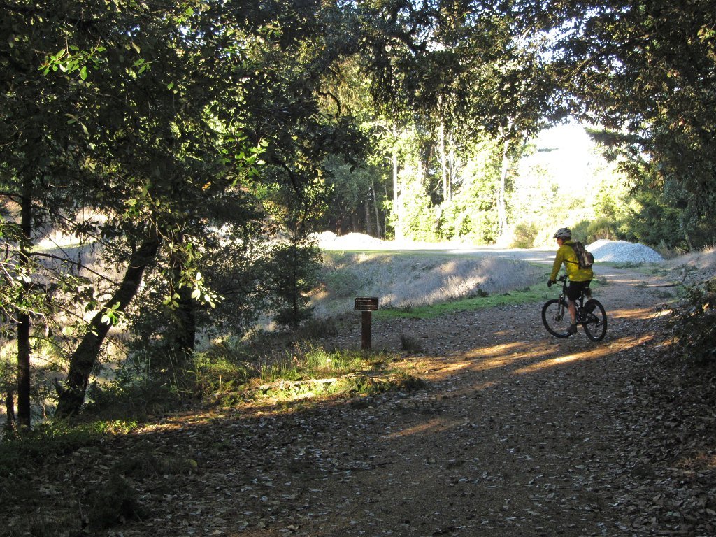 IMGa_2957