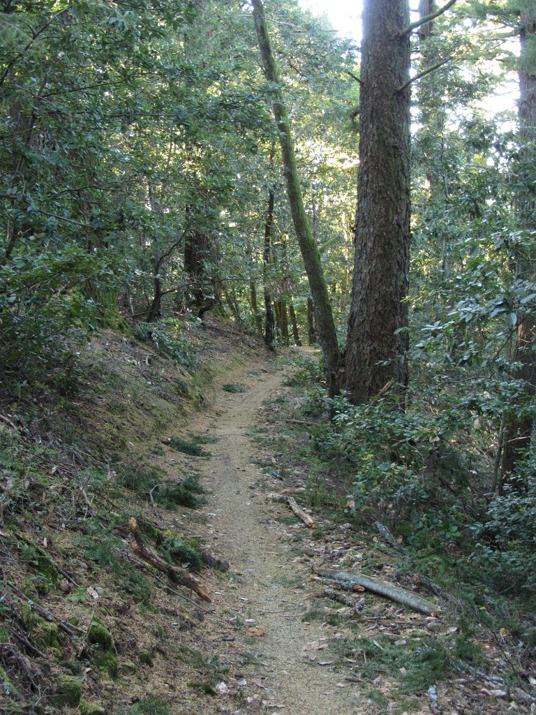 IMGa_2958