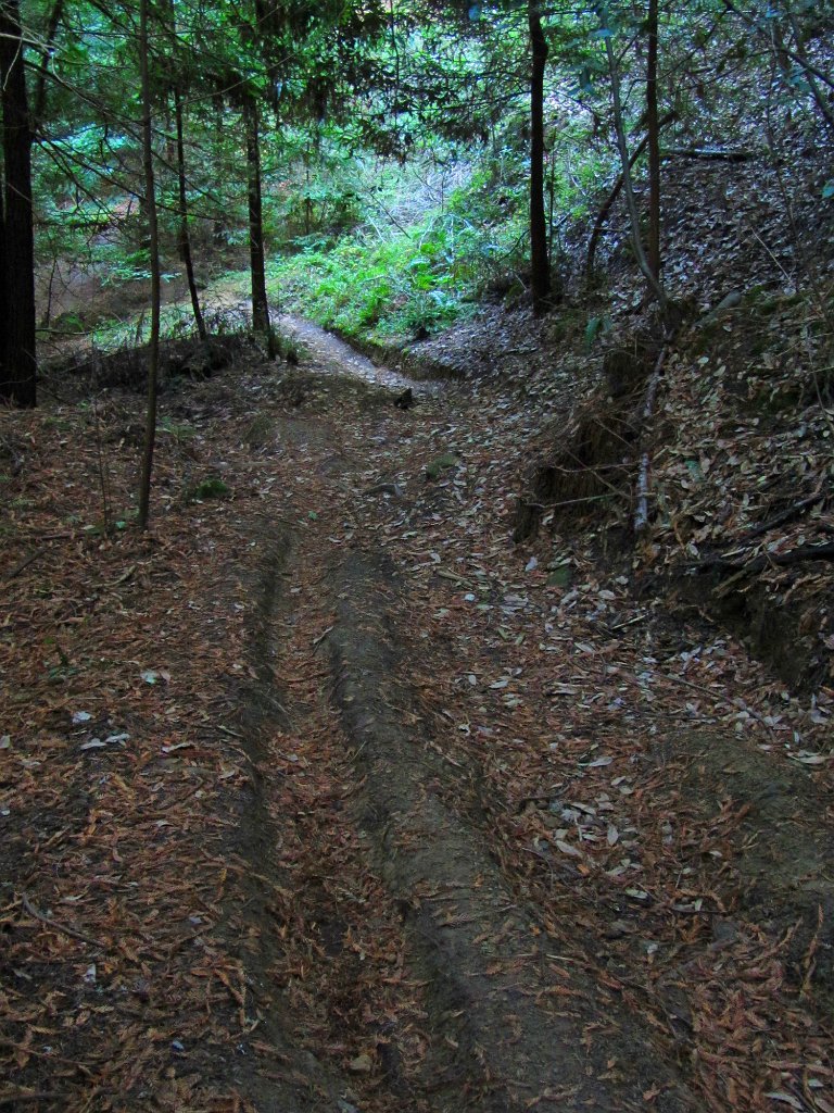 IMGa_2979