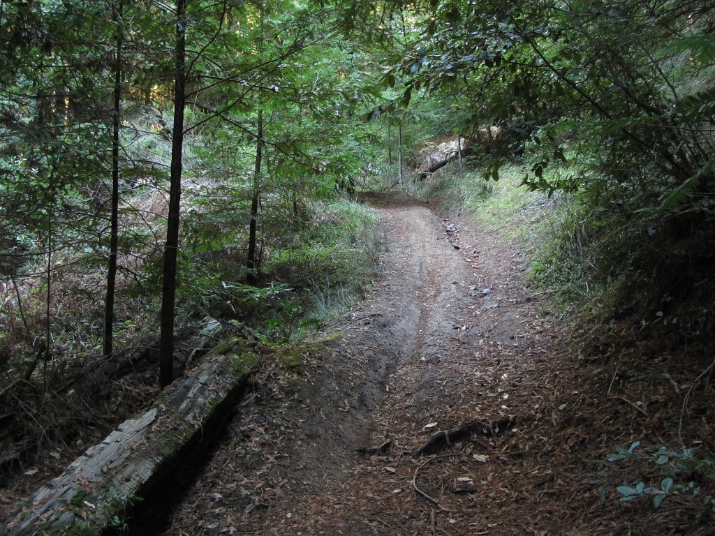 IMGa_2980
