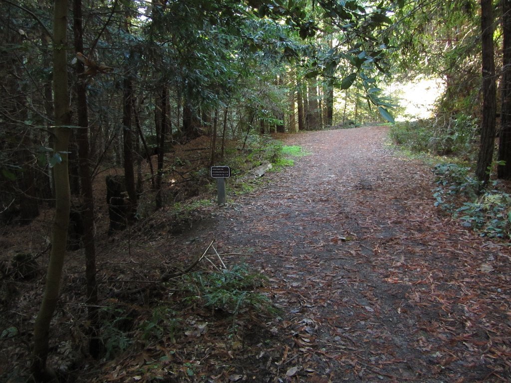 IMGa_2983