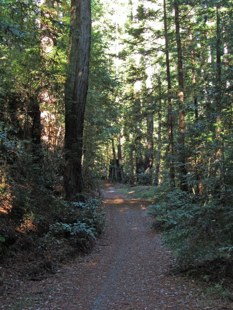 IMGa_3007