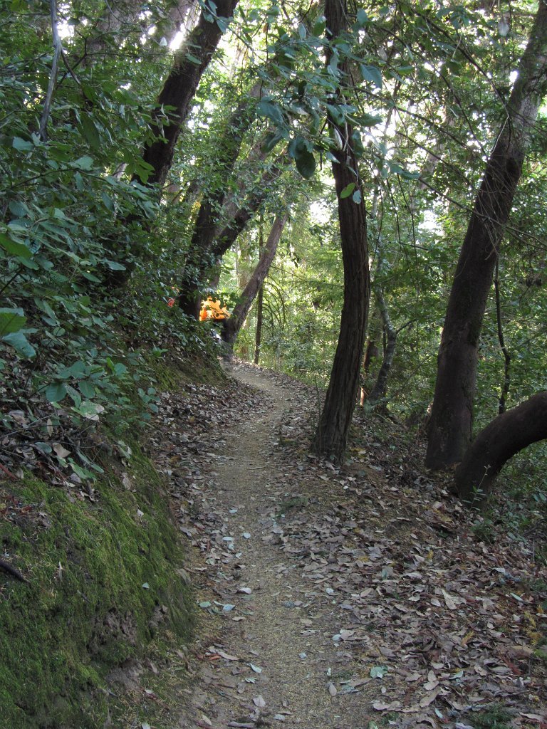 IMGb_2845