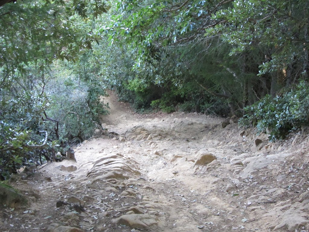 IMGb_2852