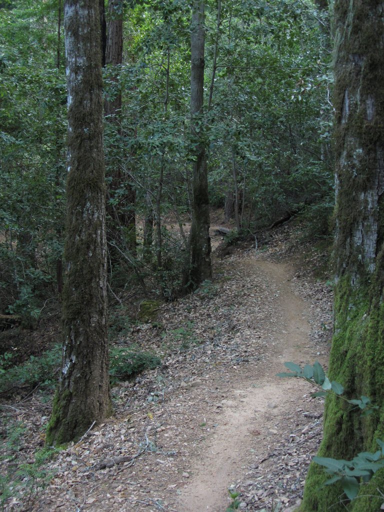 IMGb_2873