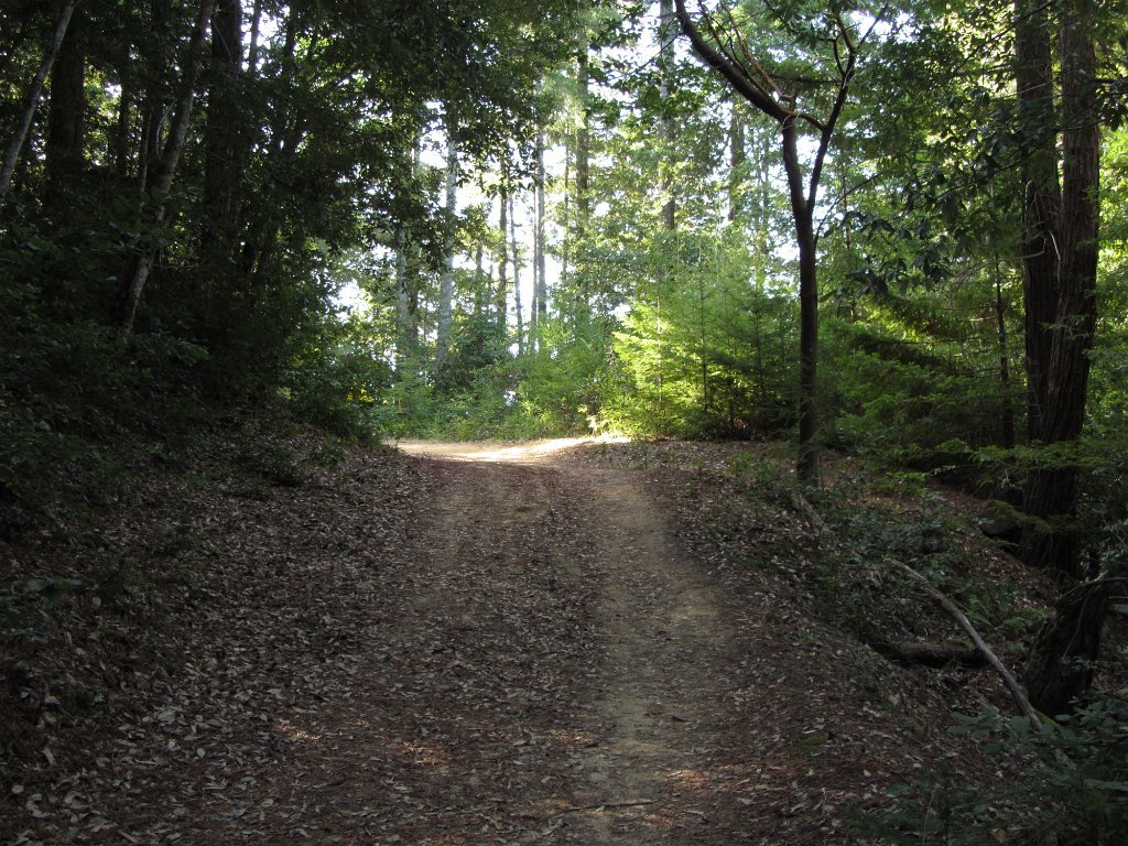 IMGb_2883