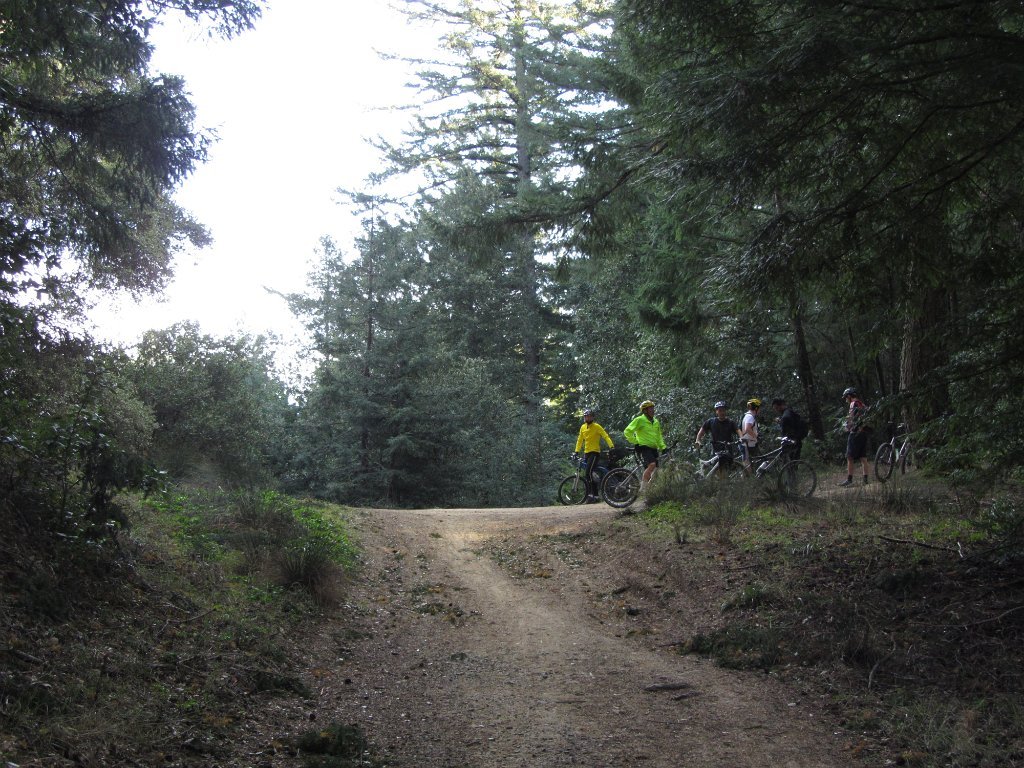 IMGb_2893