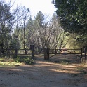 IMGa_2954