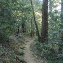 IMGa_2958