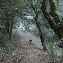 IMGa_2962