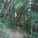 IMGa_2966