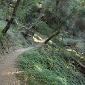 IMGa_2968