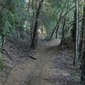 IMGa_2969