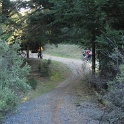 IMGa_2970