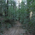 IMGa_2977