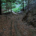 IMGa_2979