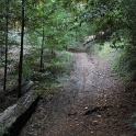 IMGa_2980