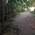 IMGa_2983