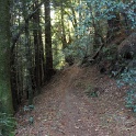 IMGa_2985