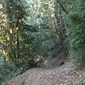 IMGa_2986