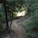 IMGa_2988