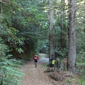 IMGa_2994