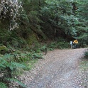 IMGa_2995