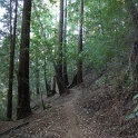 IMGa_2997