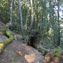 IMGa_2998
