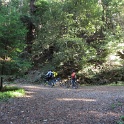 IMGa_3008